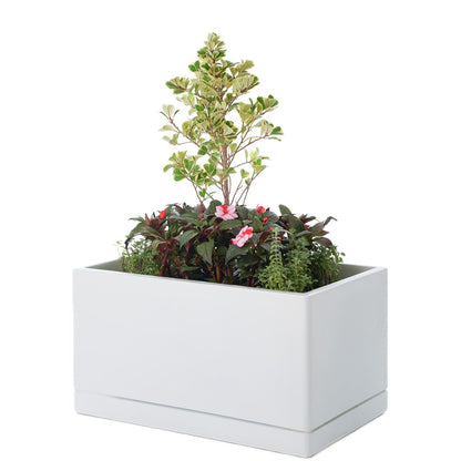 Cav Sli - Self Watering Planter