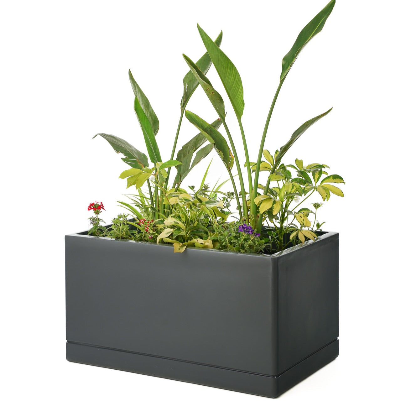 Cav Sli - Self Watering Planter
