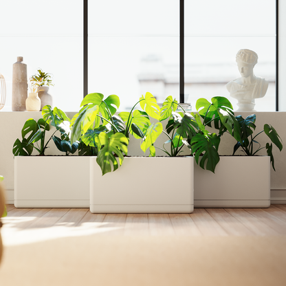 Cav Sli - Self Watering Planter