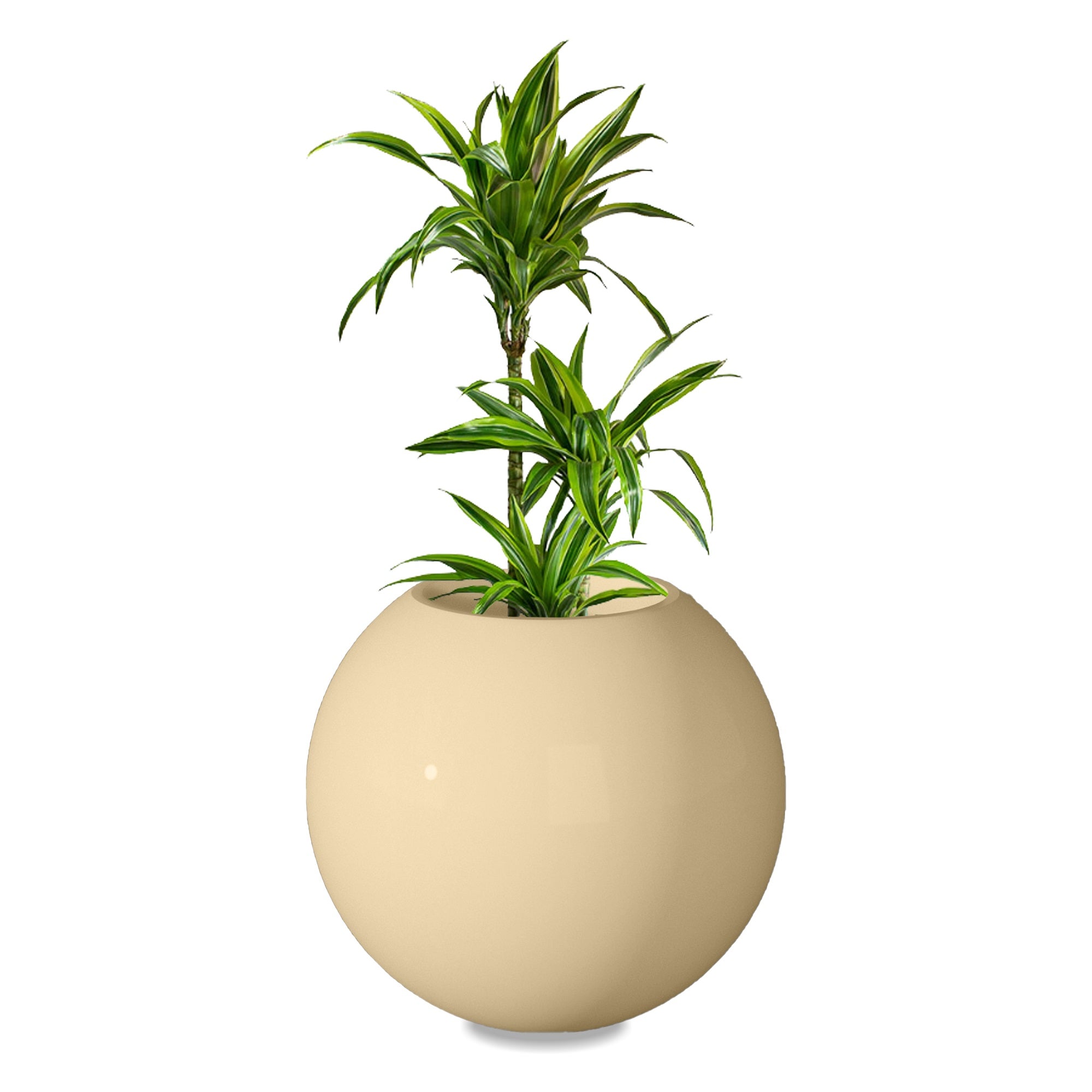 Rou Compe Self Watering Planter