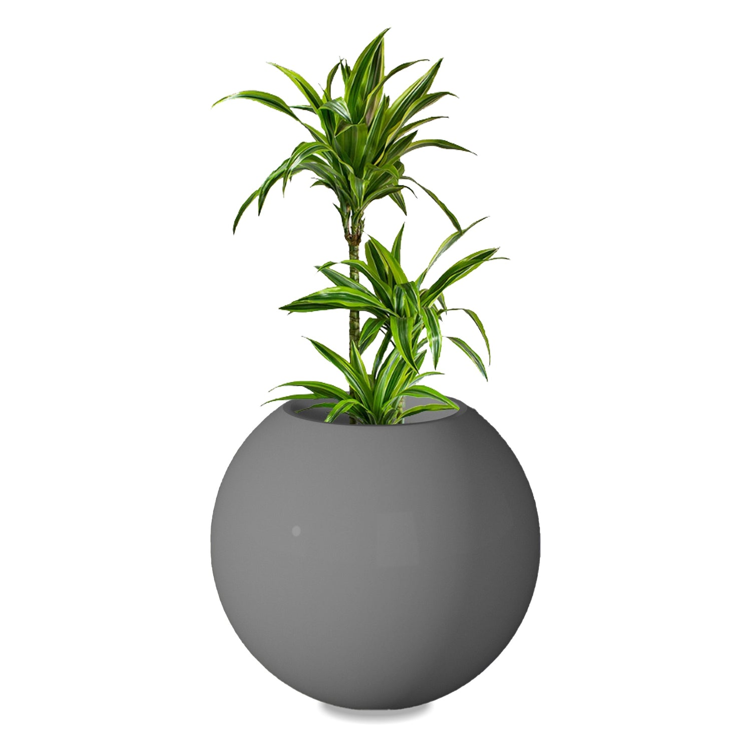 Rou Compe Self Watering Planter