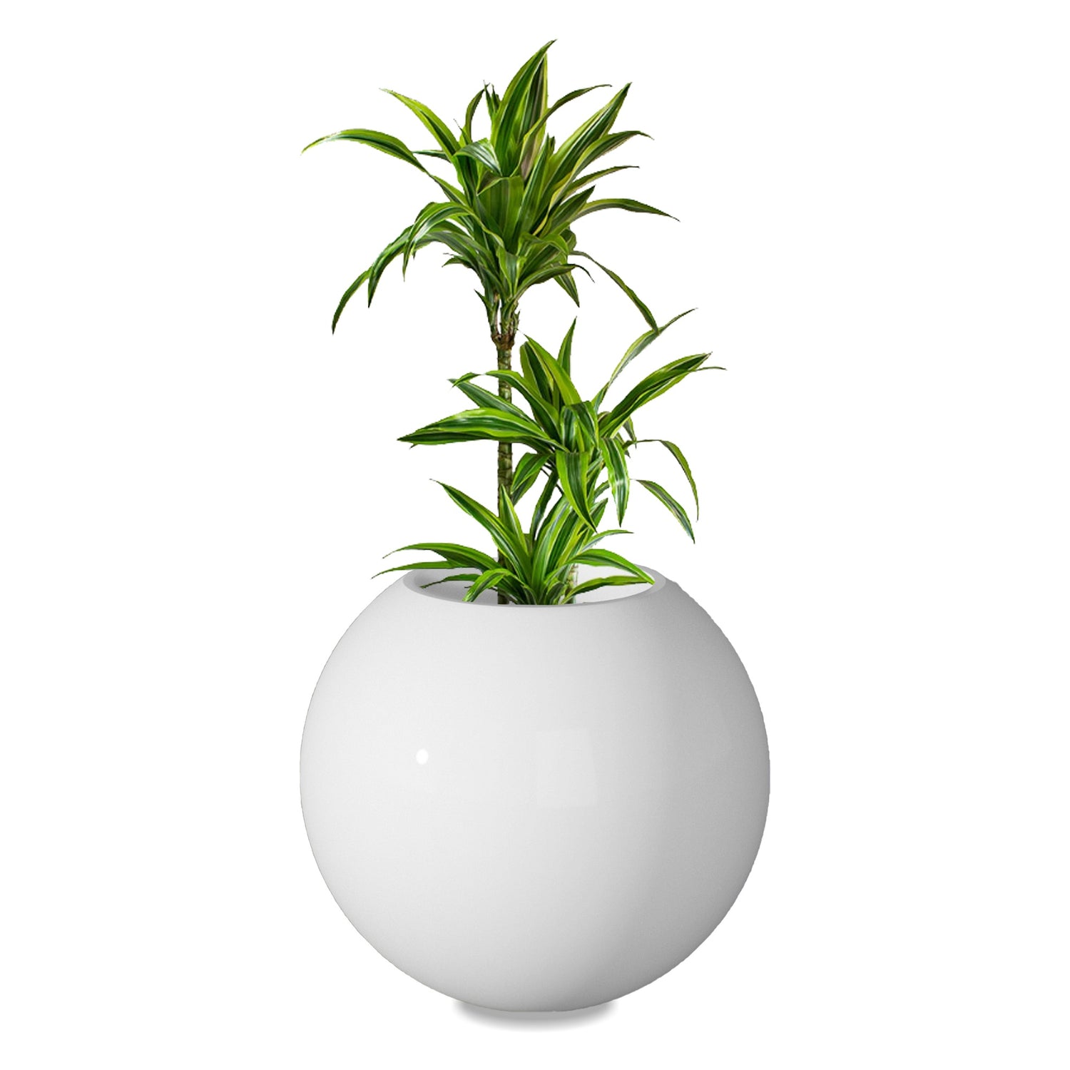 Rou Compe Self Watering Planter