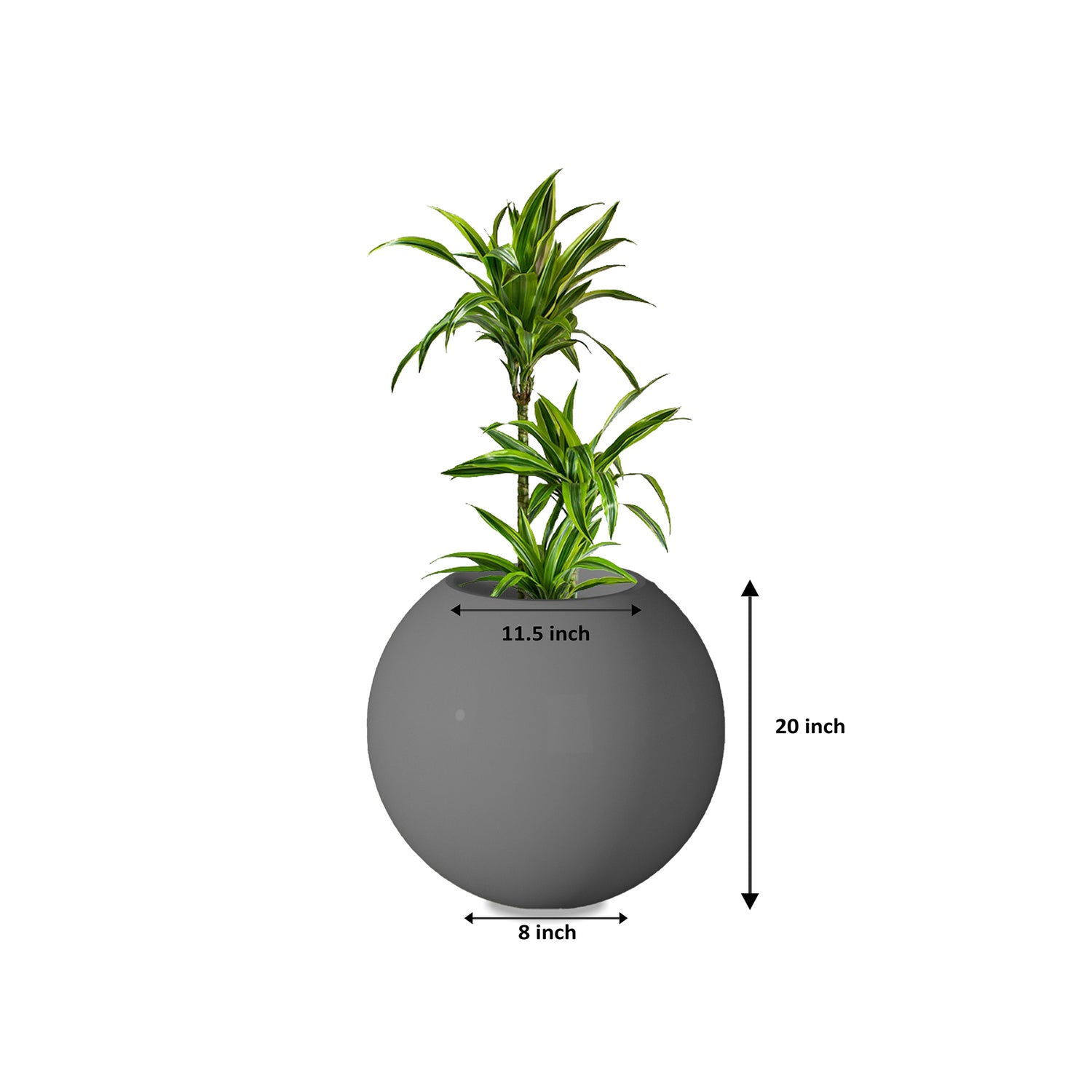 Rou Compe Self Watering Planter