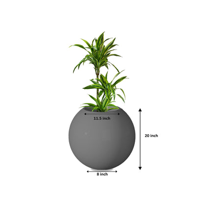 Rou Compe Self Watering Planter