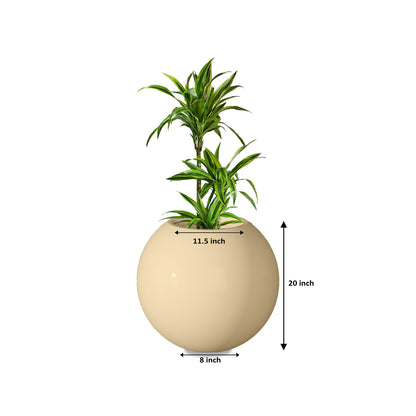 Rou Compe Self Watering Planter