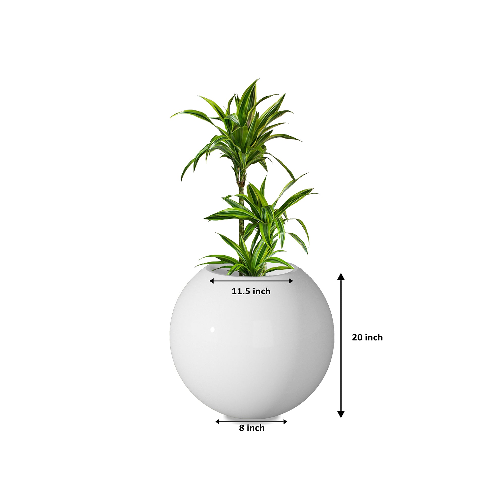 Rou Compe Self Watering Planter
