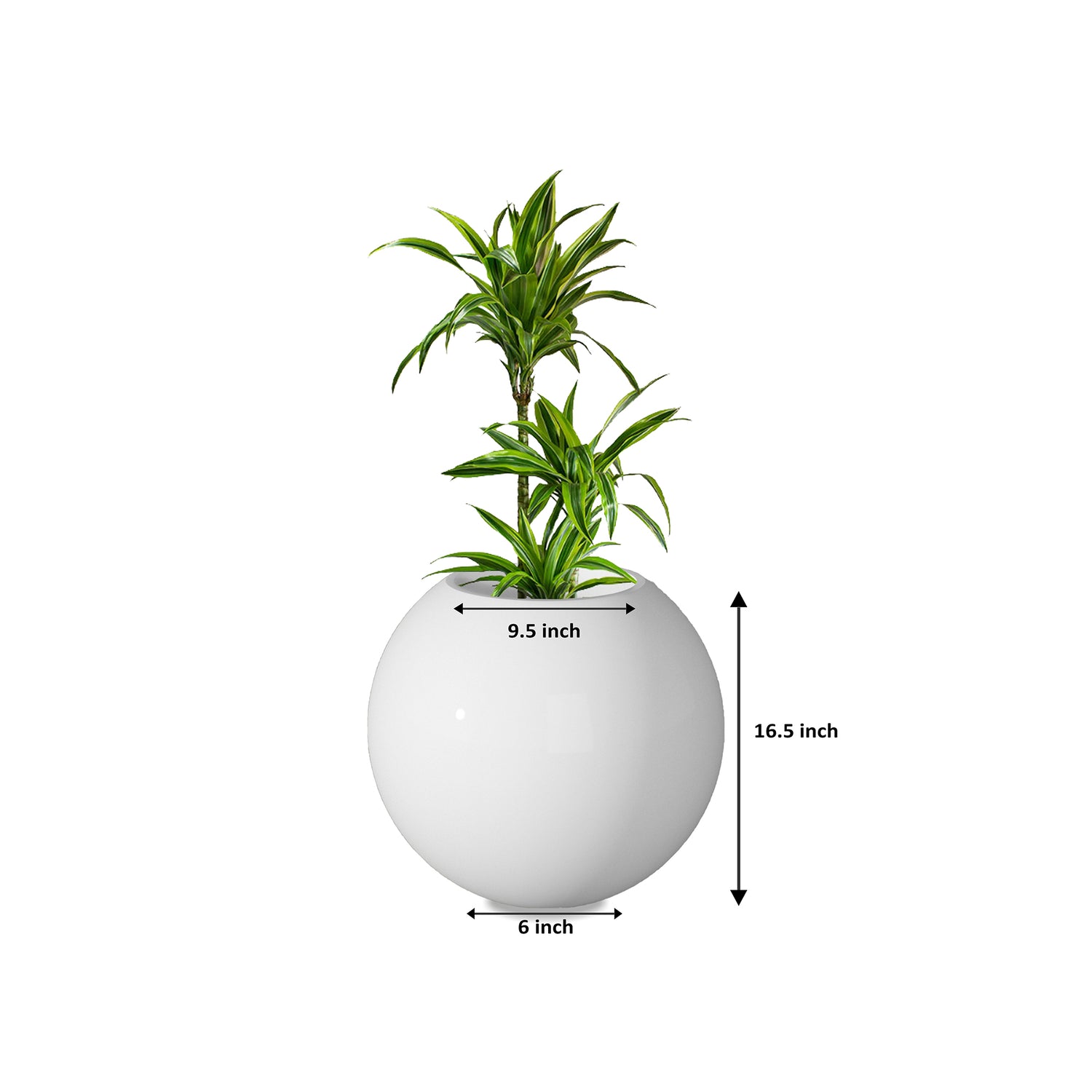 Rou Compe Self Watering Planter