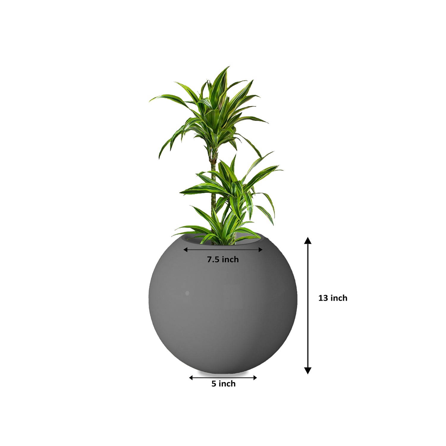 Rou Compe Self Watering Planter