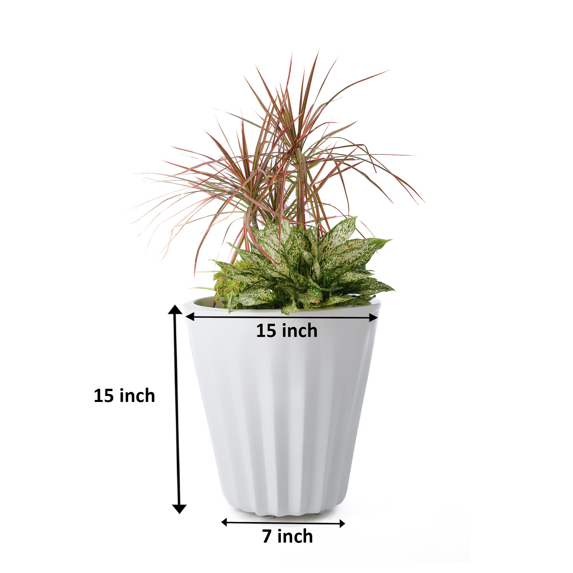 Ed Rad Self Watering Planter