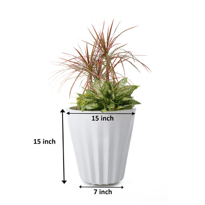 Ed Rad Self Watering Planter