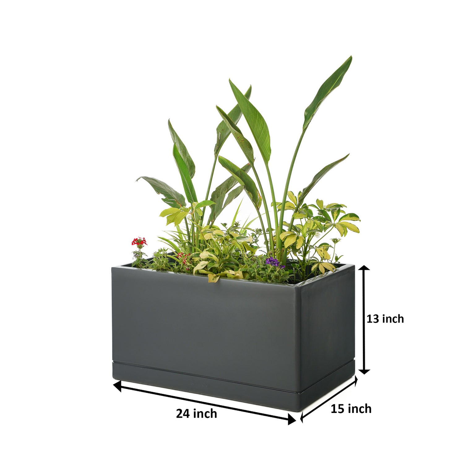 Cav Sli - Self Watering Planter