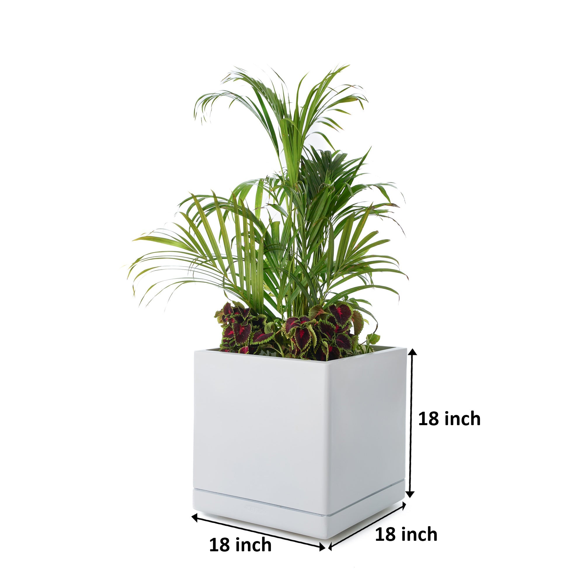 CL Per Self Watering Planter